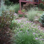 mixed-garden-design