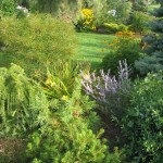 garden-and-plants